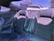 2016 Ford Mustang Shelby GT350 SHELBY