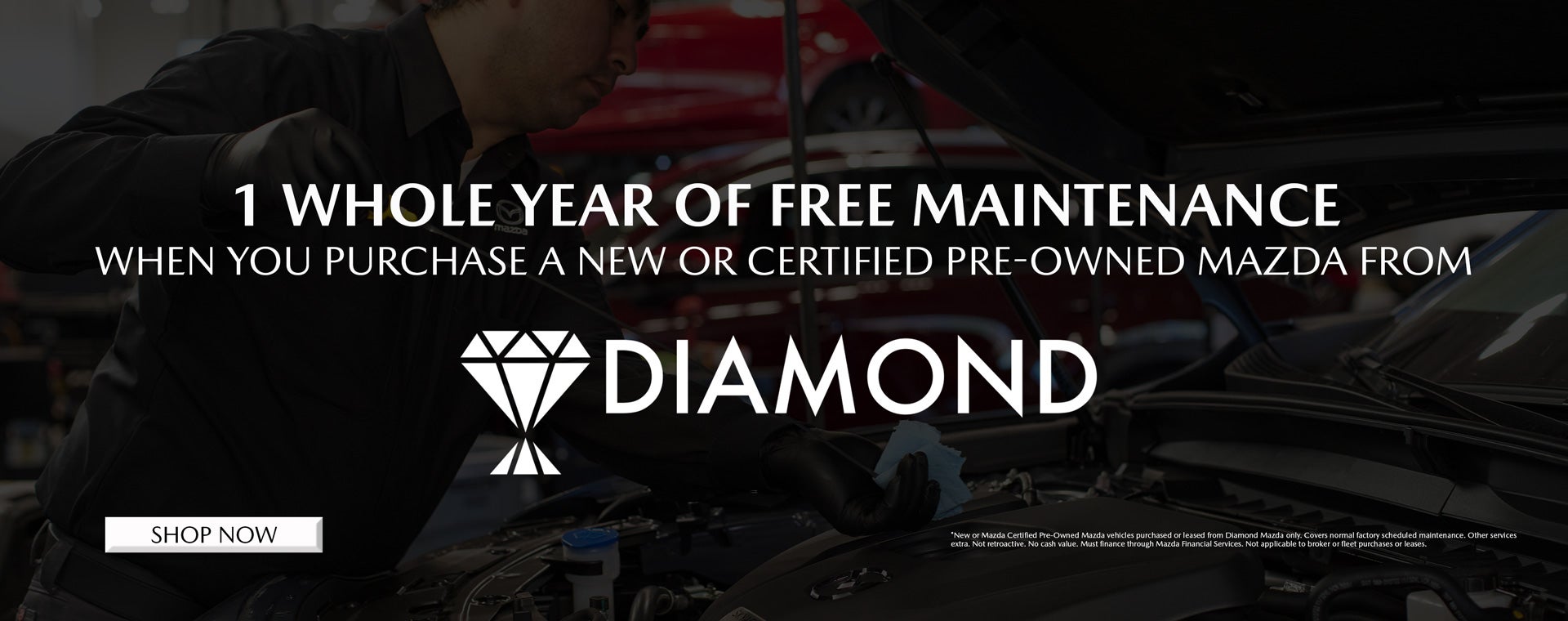 1 whole year of free maintenance